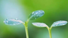 超声波草莓视频APP下载黄儿童生长发育测试仪厂家告诉你孩子长高个的秘密，再也不用担心宝宝长不高了