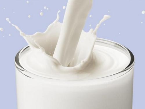 超声波草莓视频APP下载黄厂家帮助宝宝长高的食物大家都不陌生就是牛奶 超声波草莓视频APP下载黄厂家帮助宝宝长高的食物大家都不陌生就是牛奶