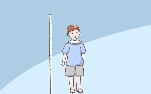 超声波草莓视频APP下载黄生活水平提高了孩子长高的关键期是哪几个 超声波草莓视频APP下载黄生活水平提高了孩子长高的关键期是哪几个