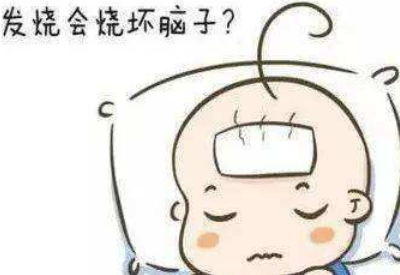 发烧真的会烧坏脑子吗 发烧真的会烧坏脑子吗